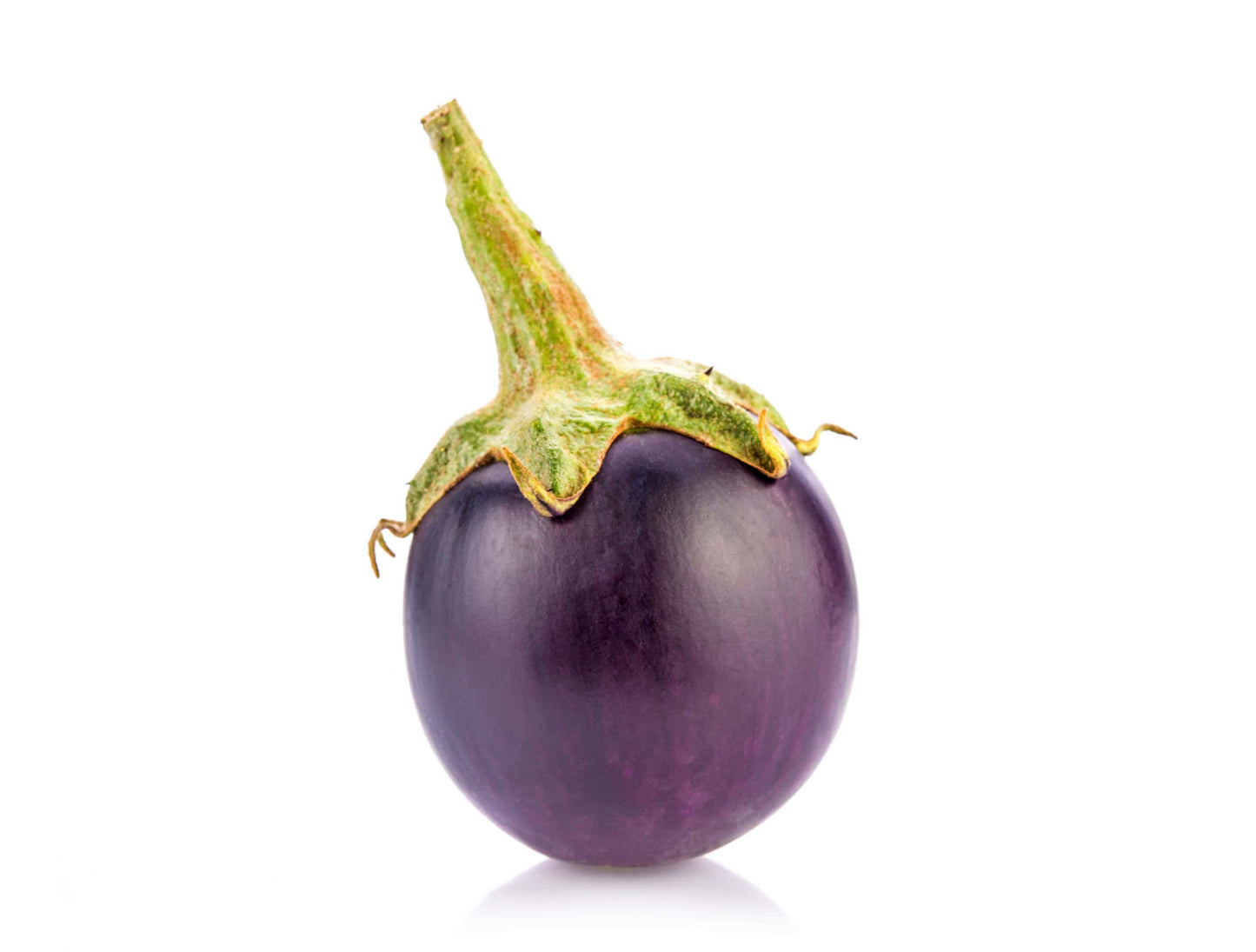 INDIAN EGGPLANT